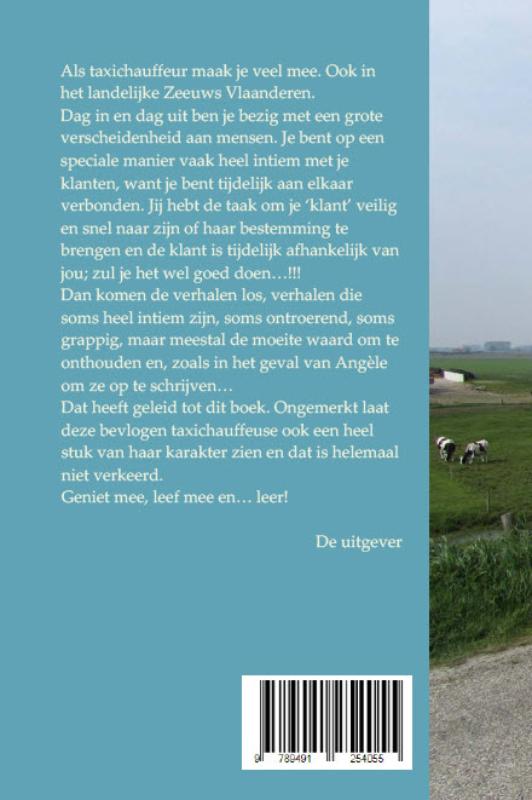 Achterkant van Taxi op het platteland