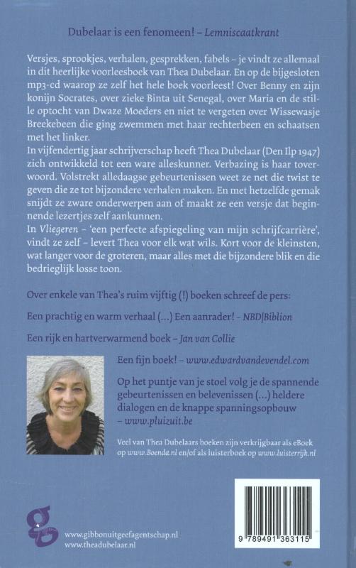 Achterkant van Vliegeren