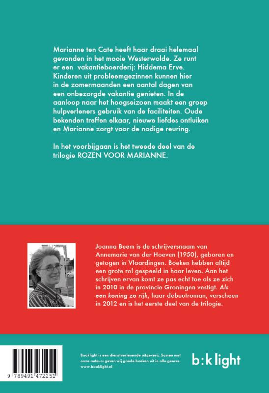 Achterkant van In het voorbijgaan