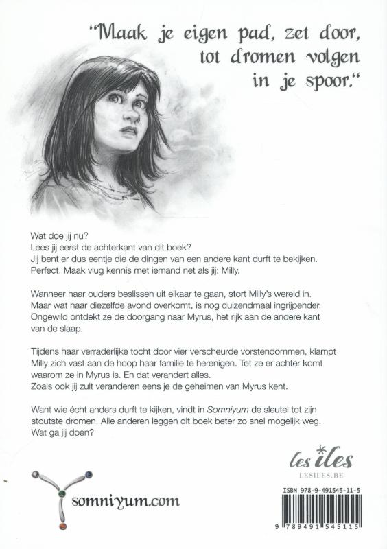 Achterkant van Een reis van een droom