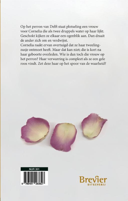 Achterkant van De vrouw op het perron