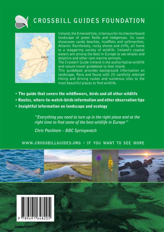 Achterkant van Ireland