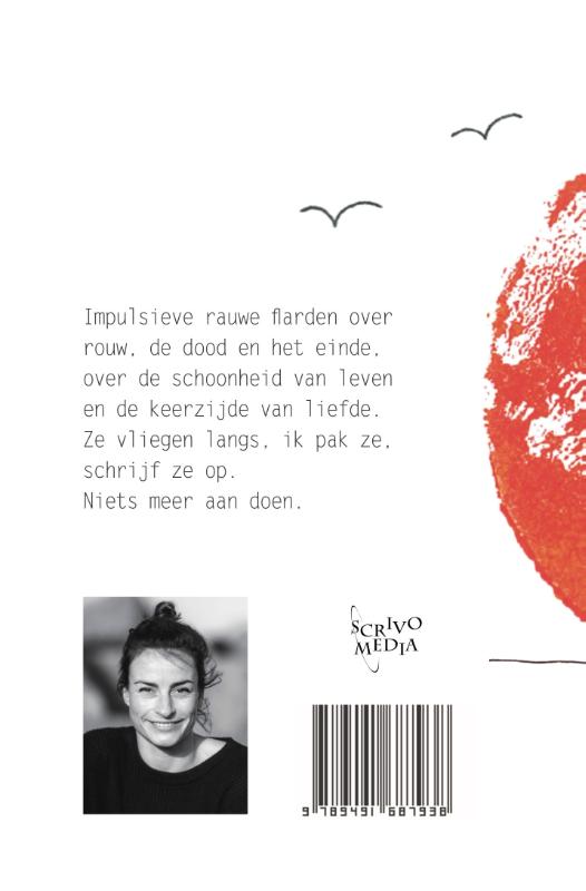 Achterkant van Vleugelgedichten