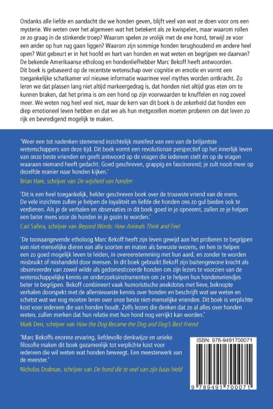 Achterkant van Hondboezemingen