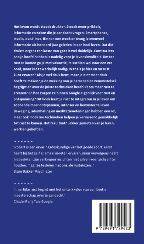 Achterkant van Rust