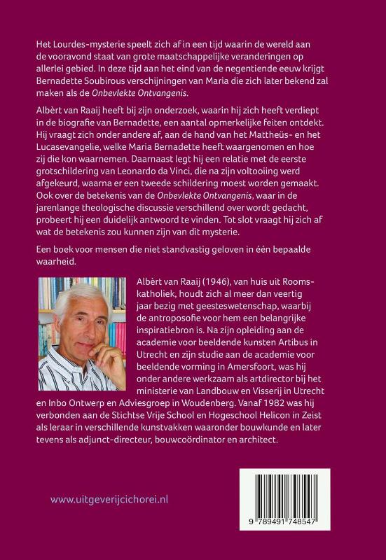 Achterkant van Verborgen geheimen in het Lourdes-mysterie