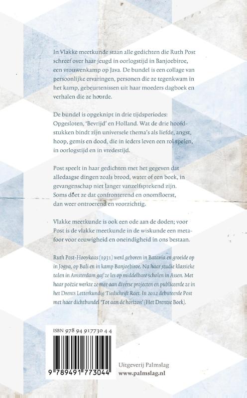 Achterkant van Vlakke meetkunde