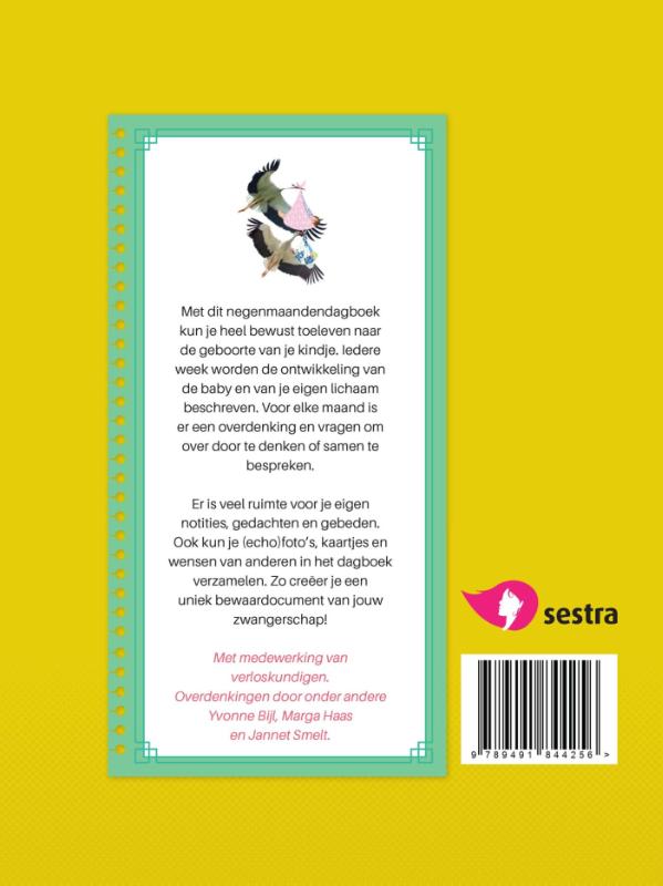 Achterkant van Verwachtingsvol