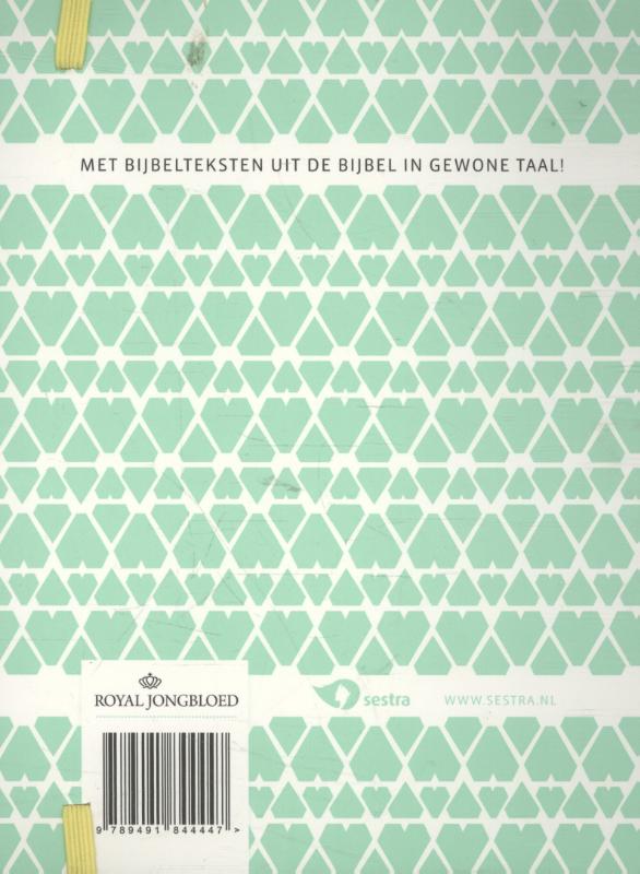 Achterkant van Sestra agenda 2016
