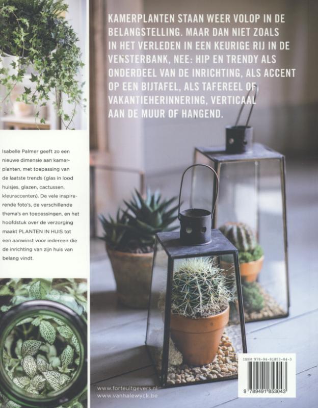 Achterkant van Planten in huis