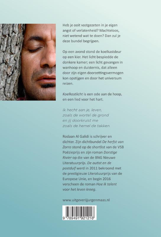 Achterkant van Koelkastlicht