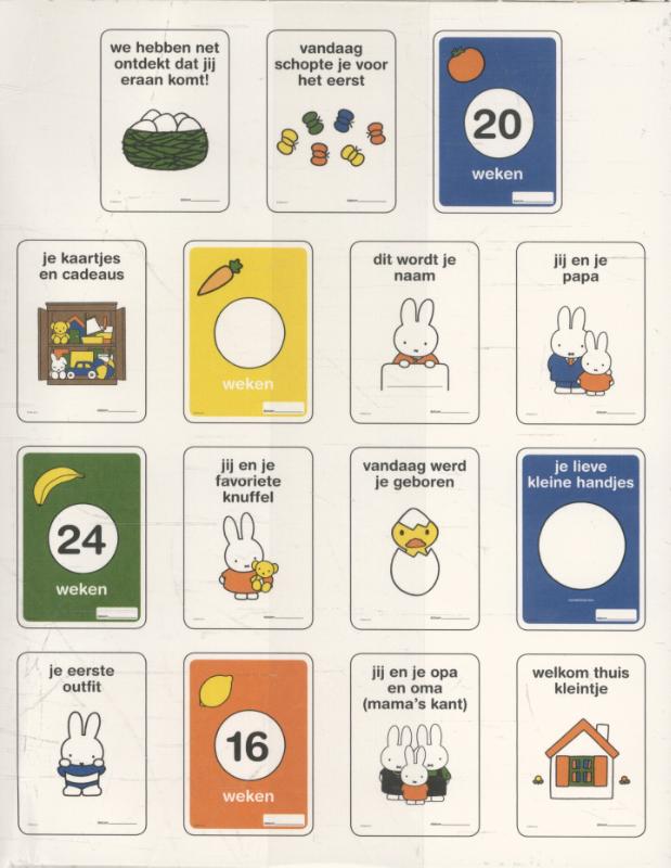 Achterkant van Nijntje Milestone Pregnancy Cards