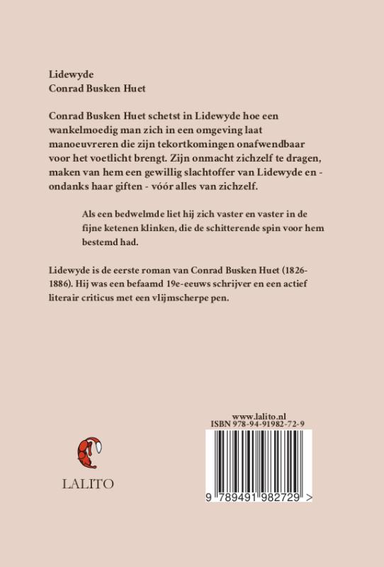 Achterkant van Lidewyde