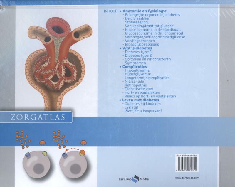 Achterkant van Diabetes
