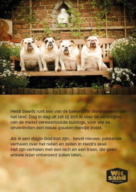 Achterkant van Als ik een dagje God kon zijn...