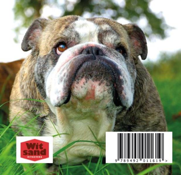 Achterkant van 101 bulldogs