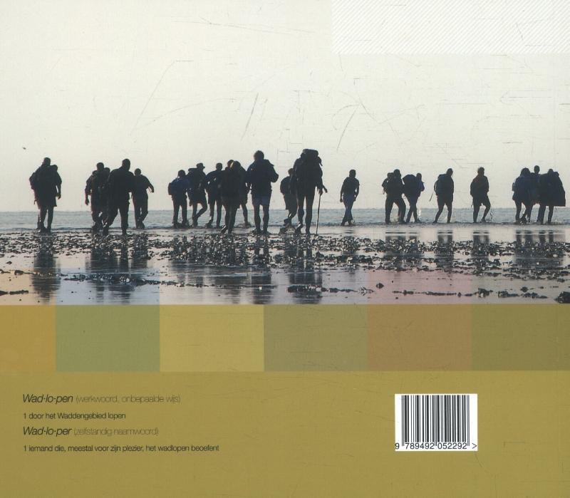 Achterkant van Het wad te voet