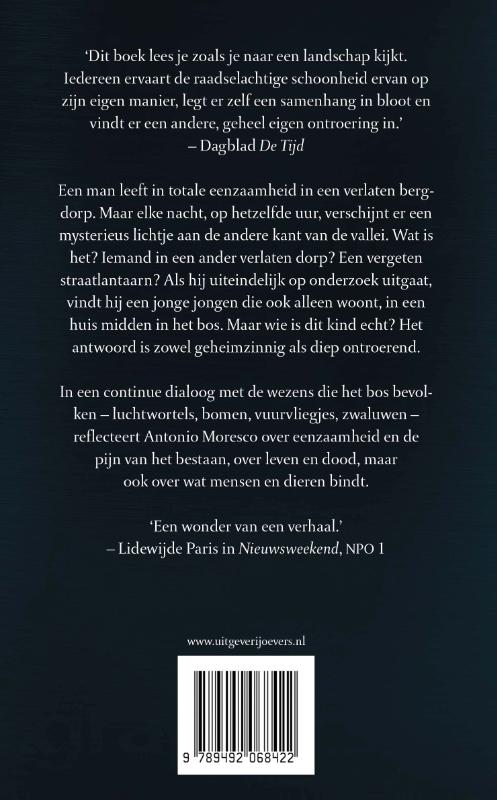 Achterkant van Het lichtje in de verte