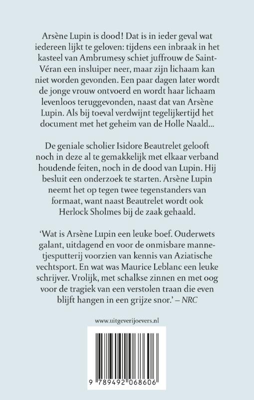 Achterkant van De Holle Naald