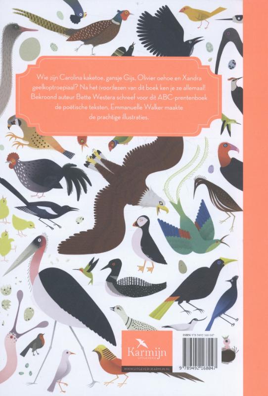 Achterkant van Vrolijke vogels
