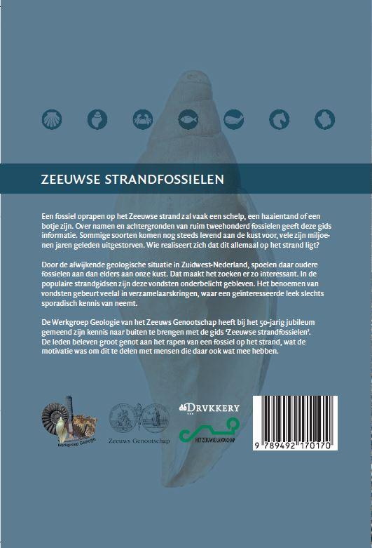 Achterkant van Zeeuwse strandfossielen