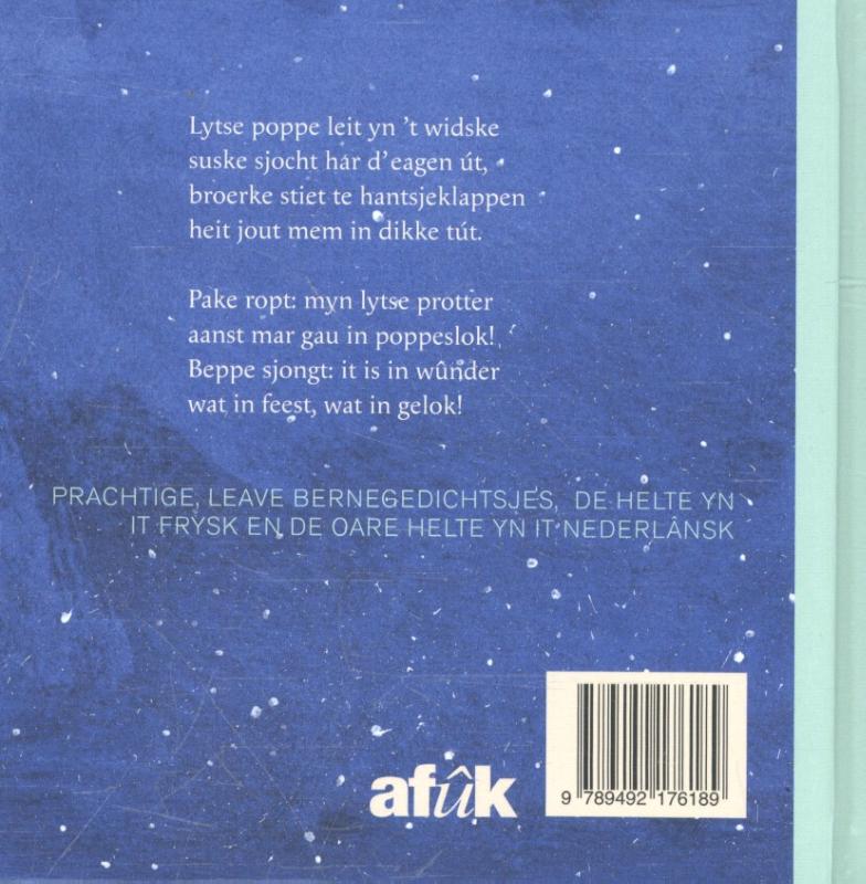 Achterkant van Lytse Protter