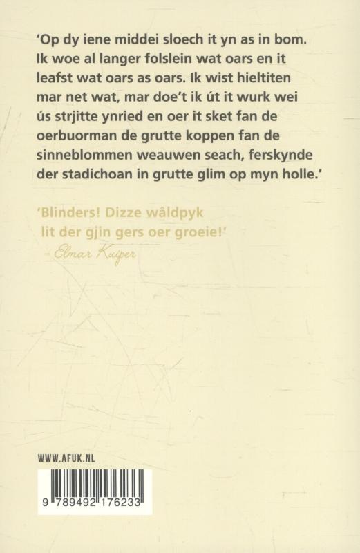 Achterkant van Bêste jonge
