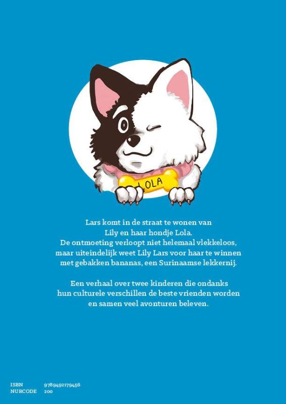 Achterkant van De ontmoeting