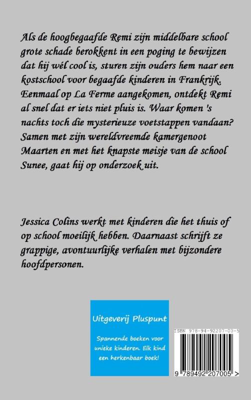 Achterkant van Remi en de geest van La Ferme