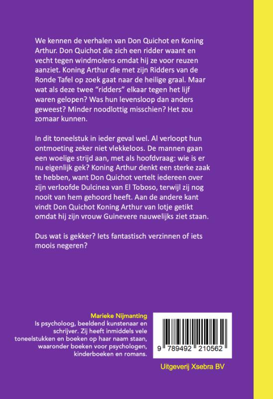 Achterkant van Een dolend ridderverhaal met Don Quichot en Koning Arthur
