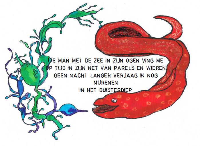Achterkant van Saffies.......