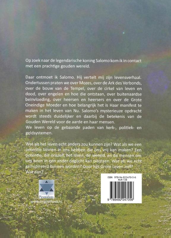 Achterkant van Het mysterie Salomo