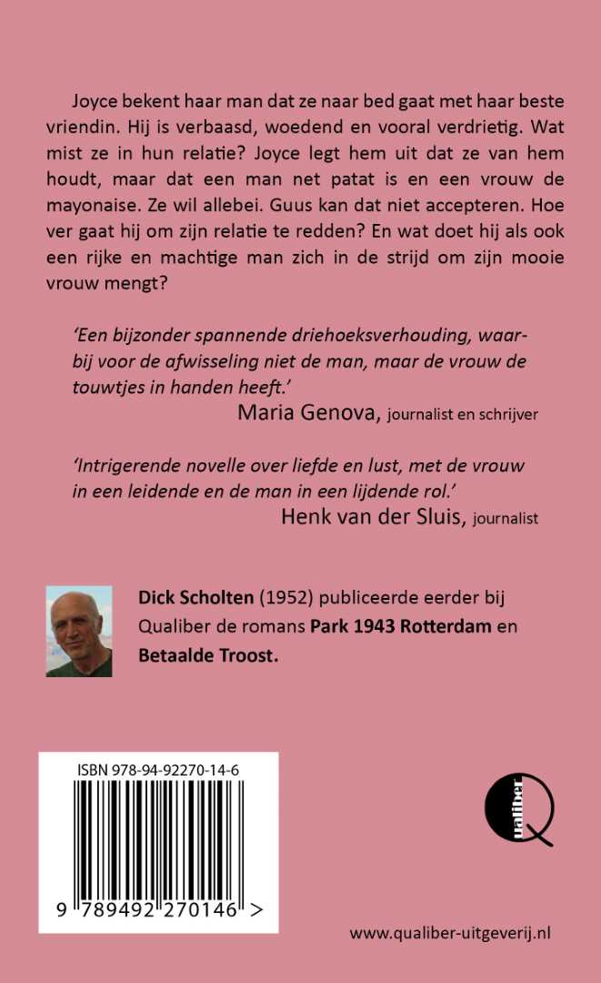 Achterkant van De Driehoek