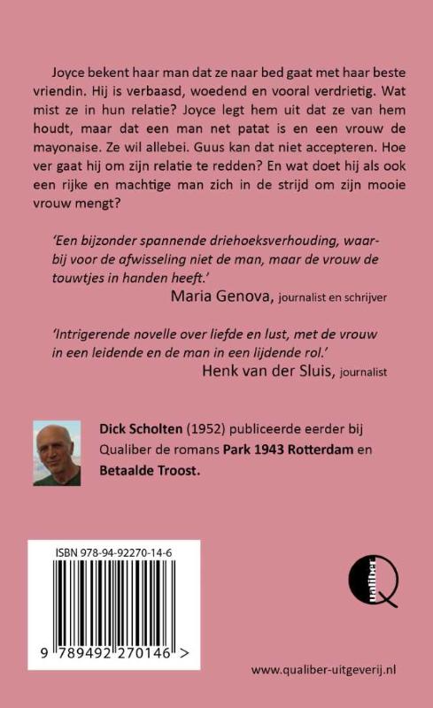 Achterkant van De Driehoek