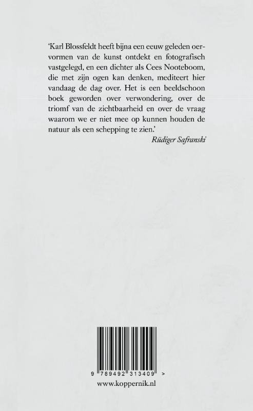 Achterkant van Karl Blossfeldt en het Oog van Allah
