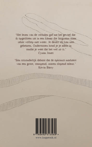 Achterkant van Veenland