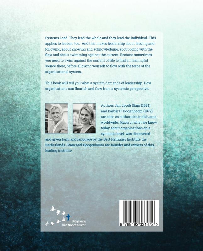 Achterkant van Systemic leadership