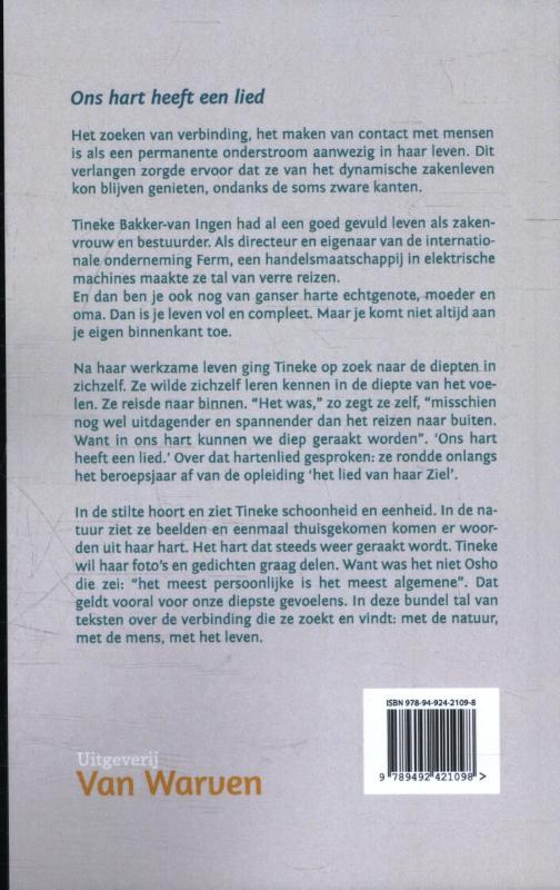 Achterkant van Verborgen diepten in het nu