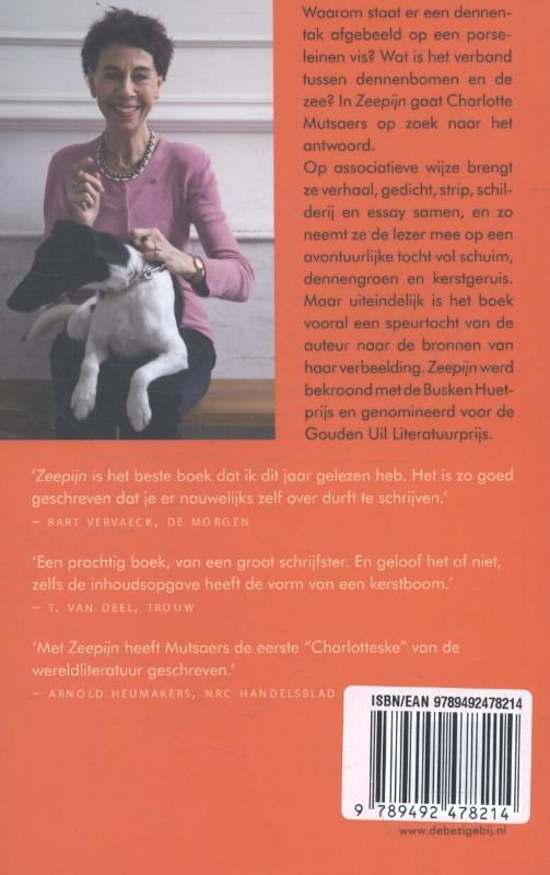 Achterkant van Zeepijn