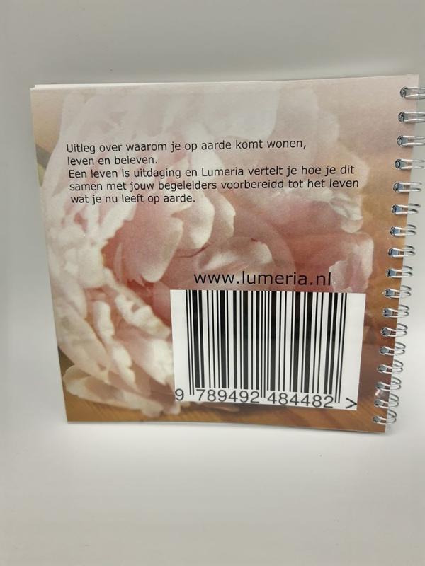 Achterkant van Als zielen hun leven op aarde gaan leiden.