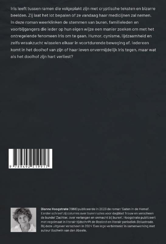 Achterkant van Het Doolhof