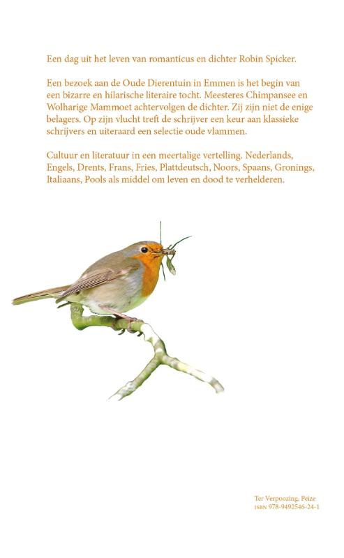 Achterkant van Robin en de meesteres