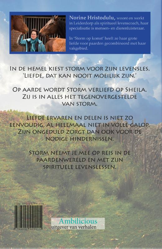 Achterkant van Storm op komst
