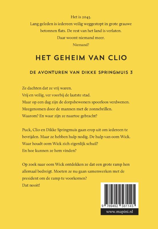 Achterkant van Het geheim van Clio