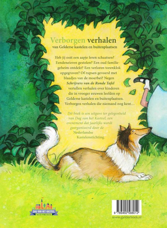 Achterkant van Verborgen verhalen