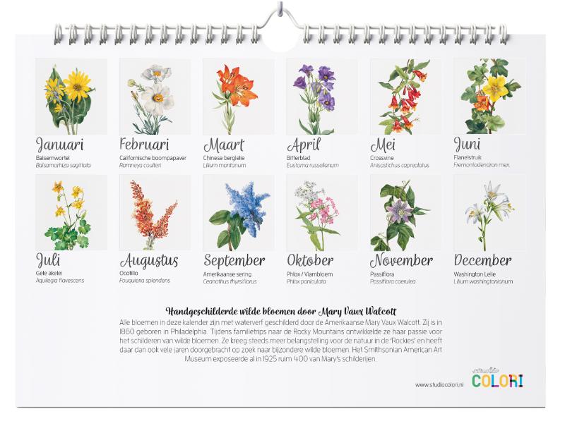 Achterkant van Verjaardagskalender Wilde bloemen