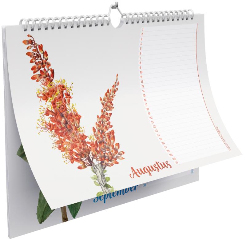 Achterkant van Verjaardagskalender Wilde bloemen