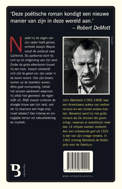 Achterkant van Aan een onbekende god