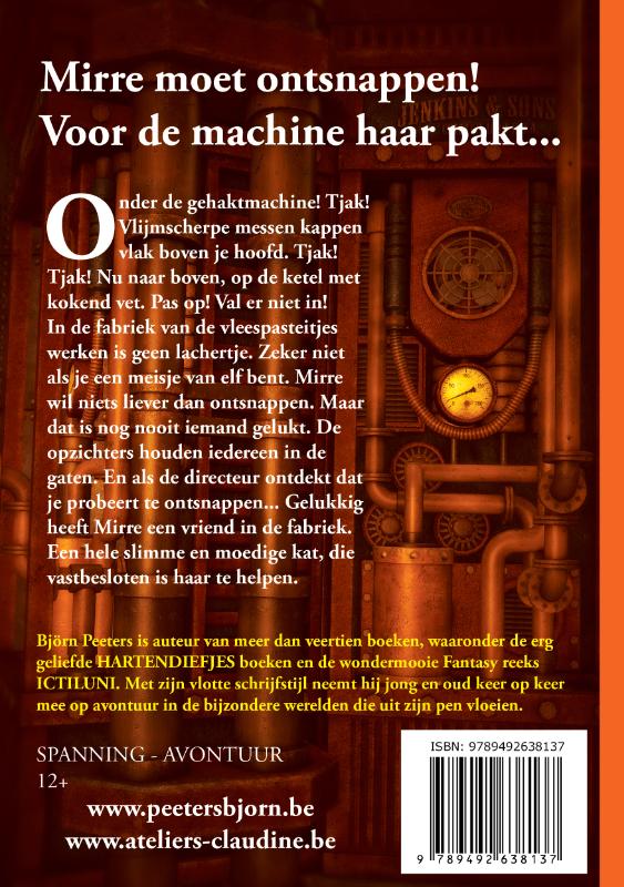 Achterkant van Drie katjes op het dak
