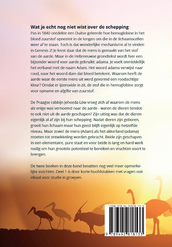 Achterkant van Schatgraven in Genesis 1-3